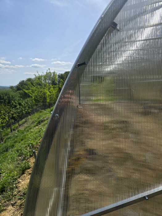 Modular Steel Tunnel Greenhouse | Width 4m 