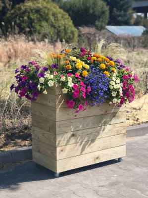 Garden Beds
