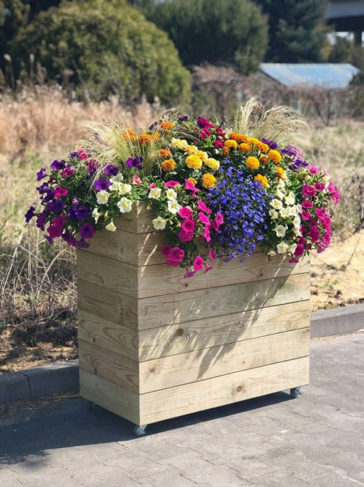 Garden Beds